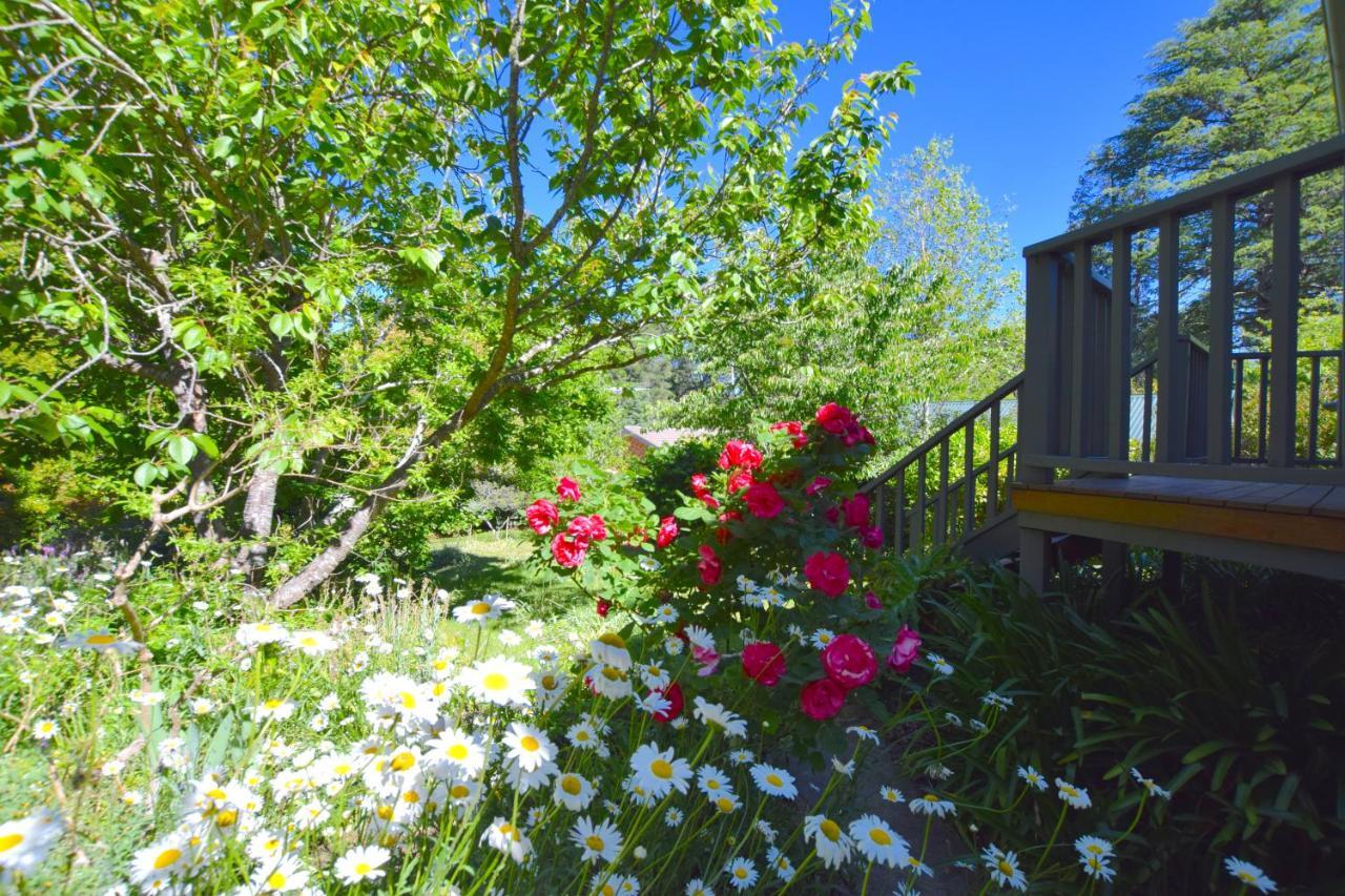 Mintie Cottage on Leura Mall Esterno foto